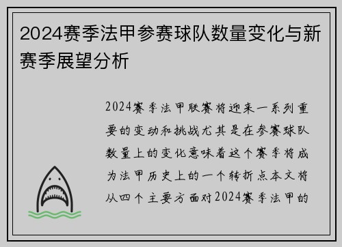 2024赛季法甲参赛球队数量变化与新赛季展望分析